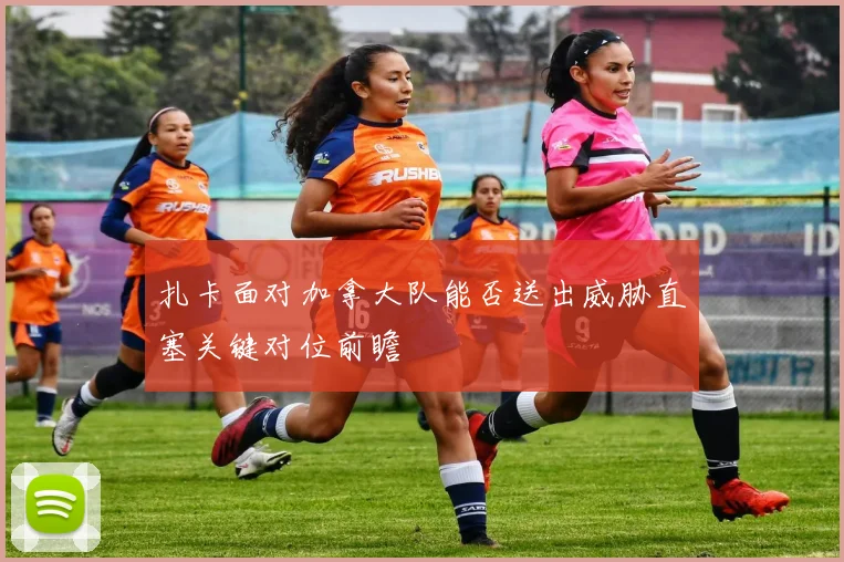 扎卡面对加拿大队能否送出威胁直塞关键对位前瞻