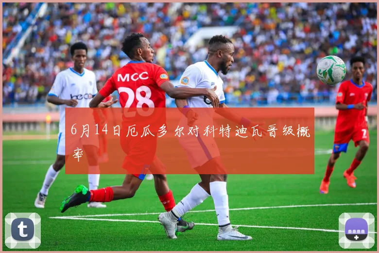6月14日厄瓜多尔对科特迪瓦晋级概率