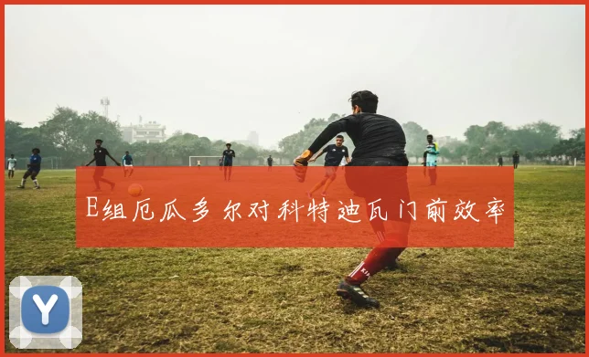 E组厄瓜多尔对科特迪瓦门前效率