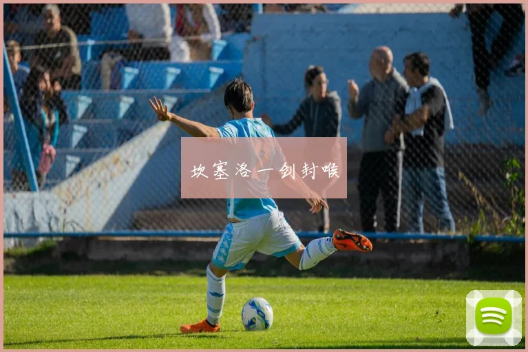 坎塞洛一剑封喉