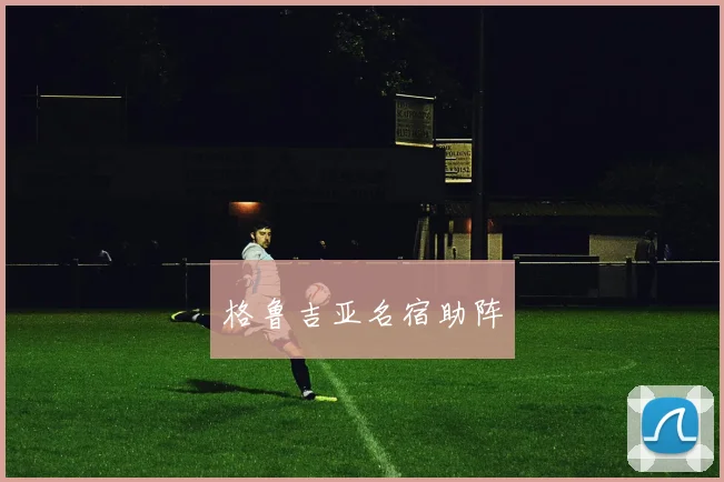 格鲁吉亚名宿助阵