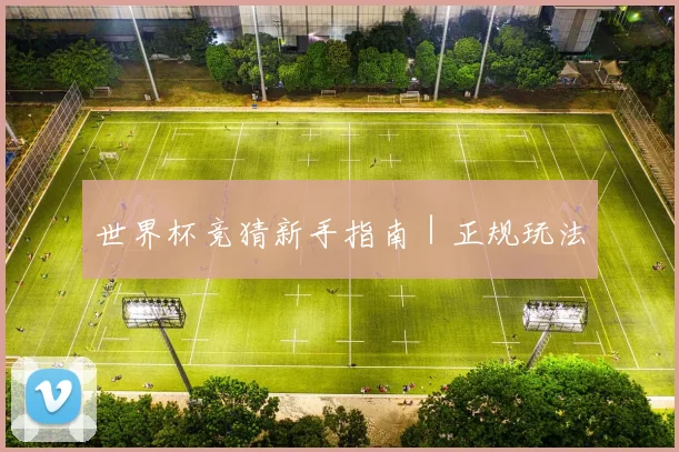 世界杯竞猜新手指南｜正规玩法