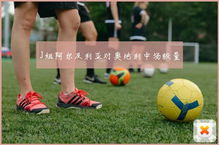 J组阿尔及利亚对奥地利中场较量