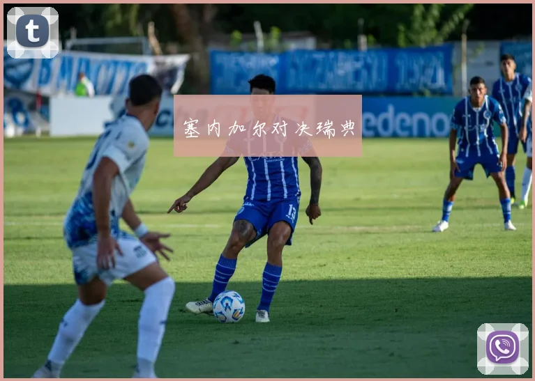 塞内加尔对决瑞典