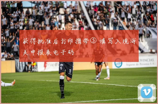 获得批准后打印携带⑤ 填写入境海关申报表电子码