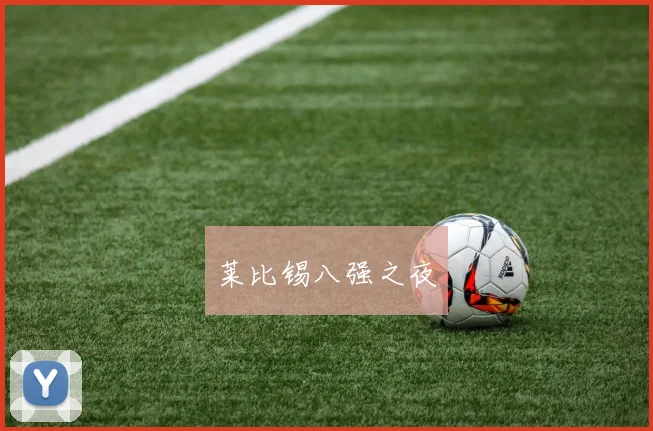 莱比锡八强之夜