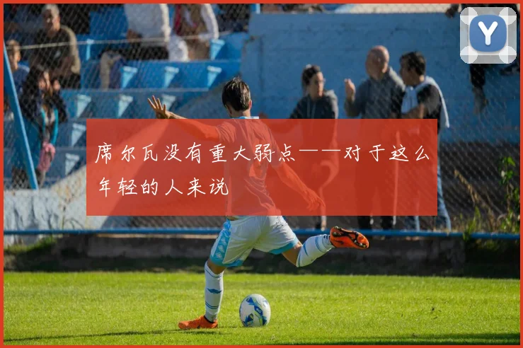 席尔瓦没有重大弱点——对于这么年轻的人来说