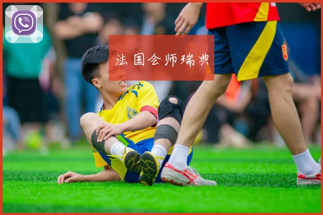 法国会师瑞典