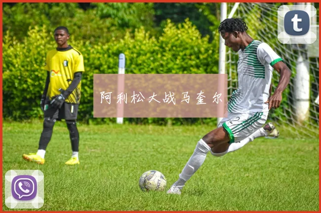 阿利松大战马奎尔