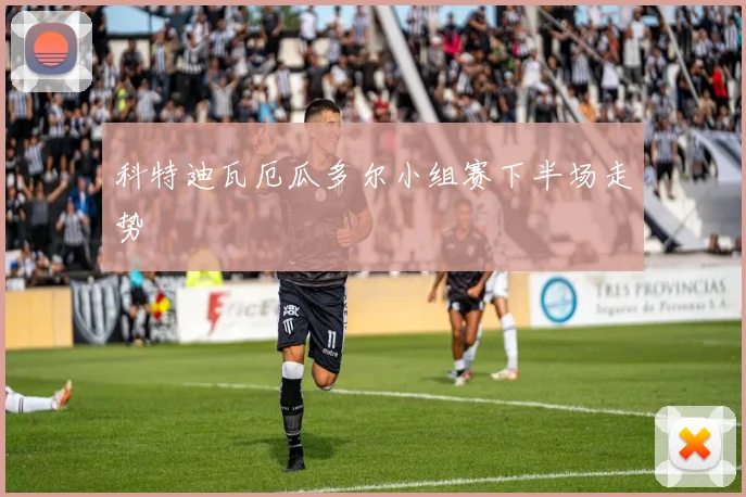 科特迪瓦厄瓜多尔小组赛下半场走势