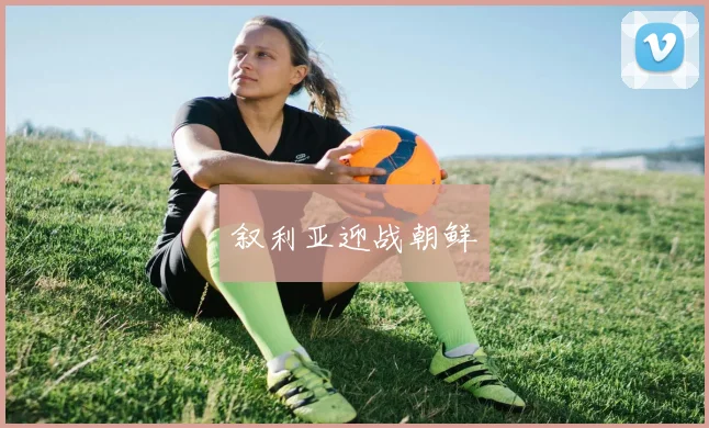 叙利亚迎战朝鲜
