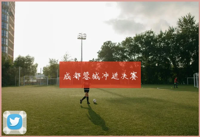 成都蓉城冲进决赛