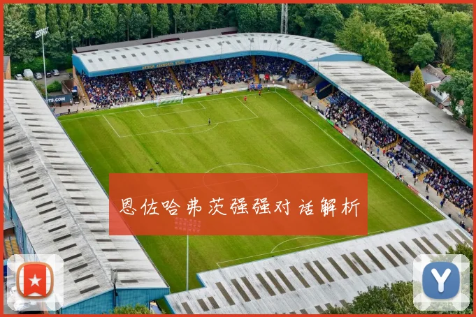 恩佐哈弗茨强强对话解析
