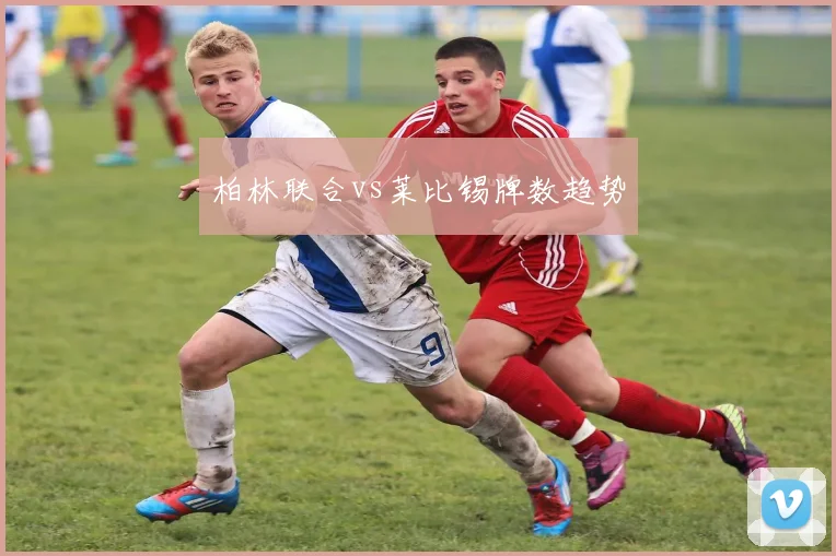 柏林联合vs莱比锡牌数趋势