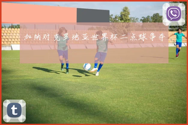 加纳对克罗地亚世界杯二点球争夺